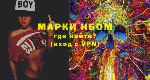 ECSTASY Пересвет