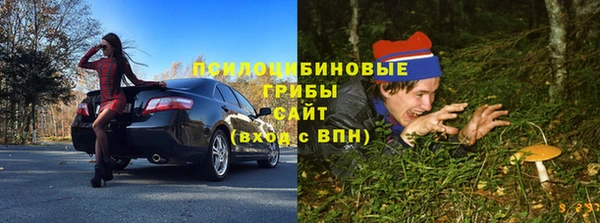 ECSTASY Пересвет